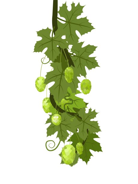 跳。有密叶和球果的垂直分枝。下垂的嫩叶。野生自然。平面插画风格。向量。图片下载