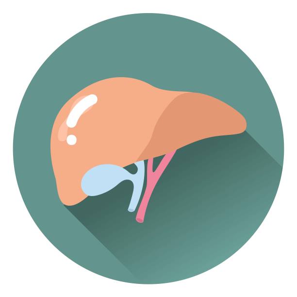 孤立的图标与内部器官在矢量插图。肺，心，肝，胃，肠，肾。彩色的，黑白的。医药，诊所，医院，社交媒体，网络，健康图片下载