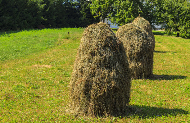 干草堆图片下载