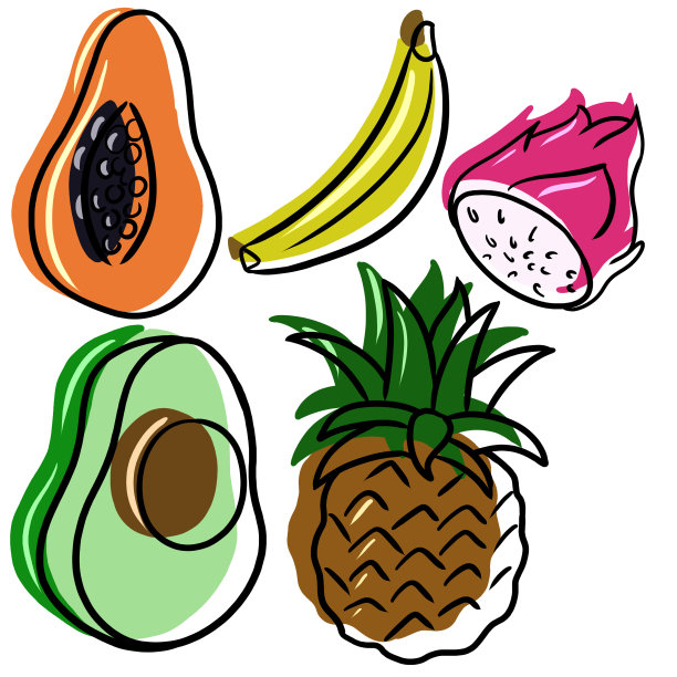 水果包装设计的极简主义图片与异国水果的图像的集合图片下载