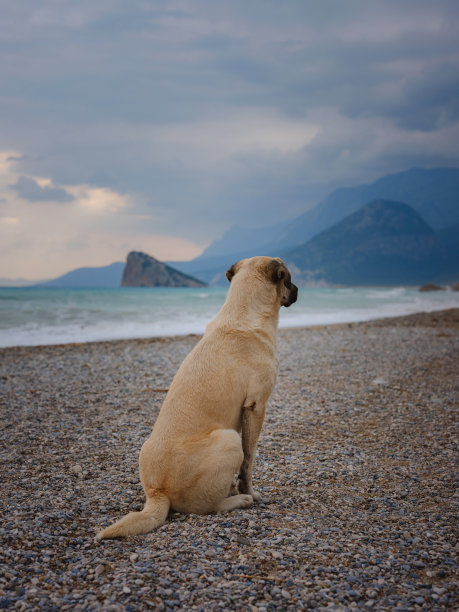 土耳其安塔利亚，冬日漫步在地中海边图片下载