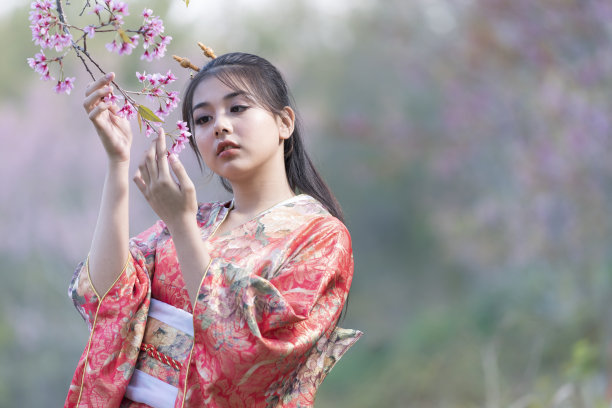 亚洲妇女穿着浴衣和服在樱花盛开的花园图片下载