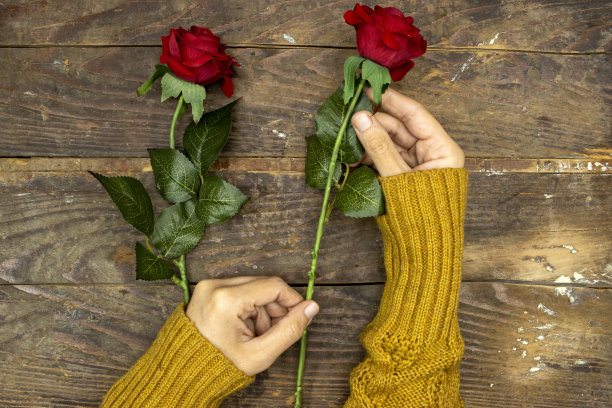 女人穿着冬天的毛衣，手捧红玫瑰的情人节或妇女的母亲节图片下载