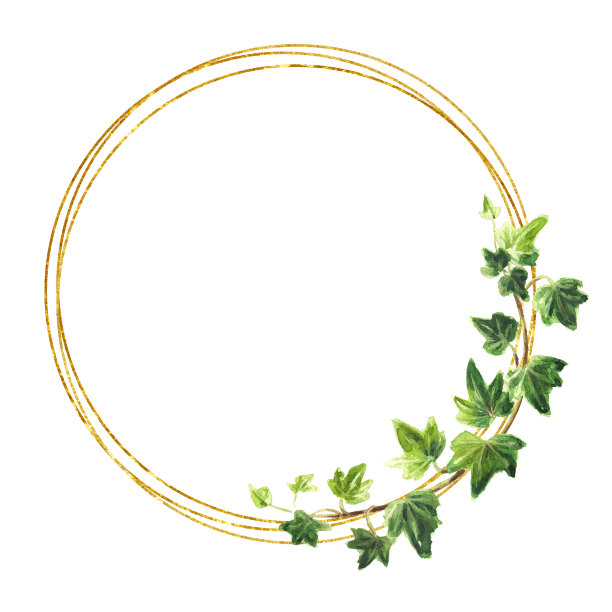 常青藤枝，绿叶架。手绘水彩插图孤立在白色背景上图片下载