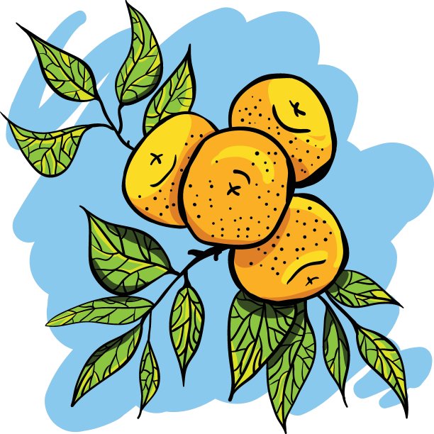 橘子。矢量插图。设计明信片，包或t恤。图片下载