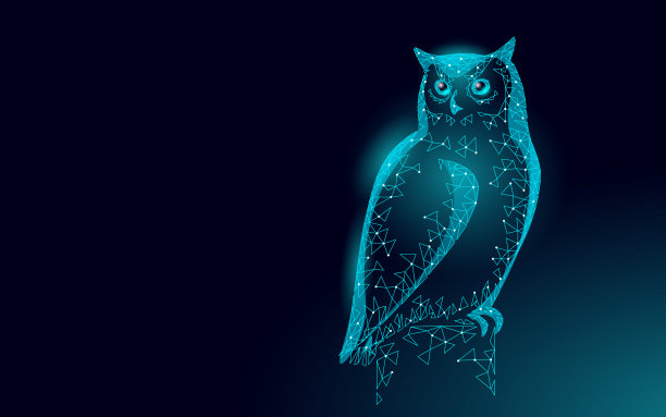 猫头鹰象征教育鸟类的智慧。电子学习距离的概念。研究生证书课程概念。低聚3D互联网教育课程度矢量插图图片下载