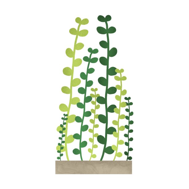 绿叶盆栽植物图片下载