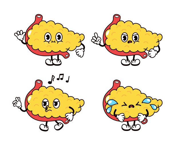 有趣可爱的胰腺字符捆绑集。矢量手绘涂鸦风格传统卡通复古，复古的人物插图图标设计。孤立的白色背景。胰腺吉祥物字符图片下载