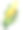 玉米。手画水彩。可用于明信片、贴纸、百科全书、菜单、菜肴配料。标签、封面、印刷品的风格设计。图片下载