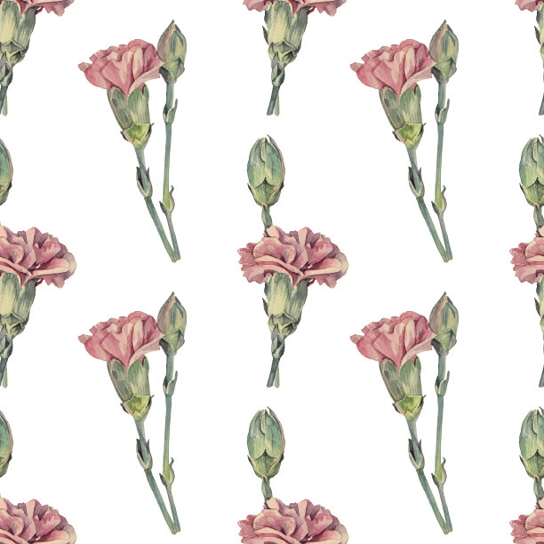 无缝图案水彩紫色康乃馨在白色背景。手绘春夏季粉红花庆祝婚礼。古董艺术花店贴纸墙纸包装卡素描本图片下载
