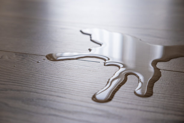 地板上有一滩水。防水复合概念图片下载