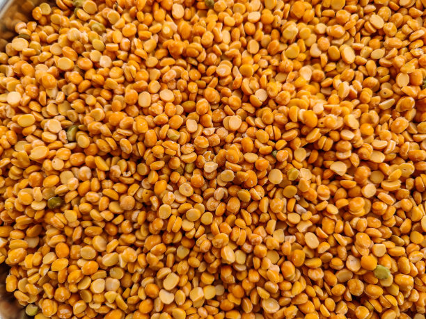 新鲜有机干鹰嘴豆，印度扁豆或黄色扁豆铺在地板上，在明亮的阳光下干燥的照片。图片拍摄于印度卡纳塔克邦的班加罗尔。图片下载