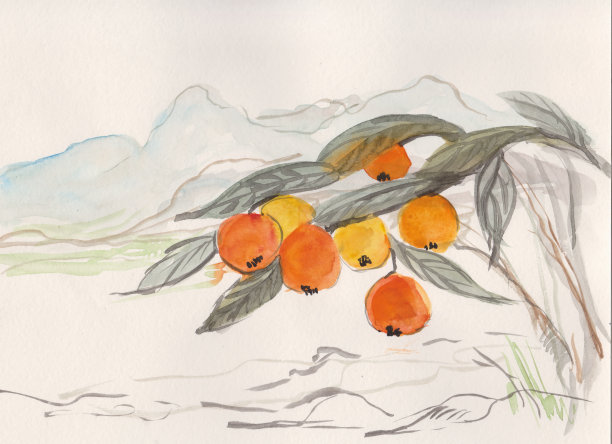 在山海的映衬下，一棵结满果实的枸杞树图片下载