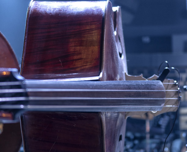 音乐会前在乐池中演奏低音提琴图片下载