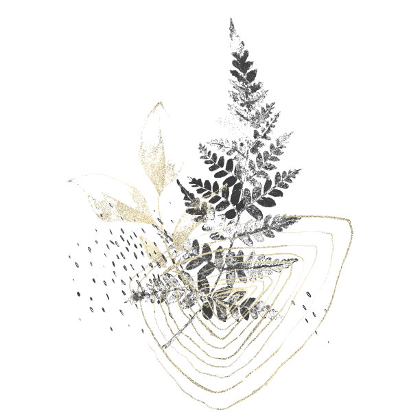 深灰色蕨类植物小枝和叶子抽筋技巧风格。金粉风格的几何线条艺术。插花艺术。图片下载