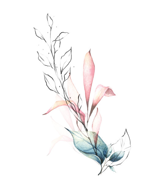 水彩画花束。布局通风的树枝，蓝色的叶子，粉红色的图形元素。图片下载