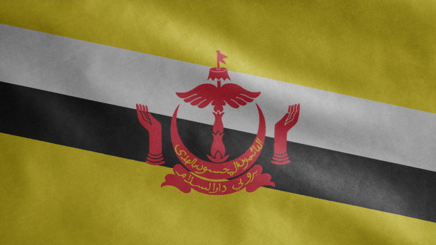 文莱国旗在风中飘扬。近距离的文莱旗帜飘扬，柔软的丝绸。图片下载