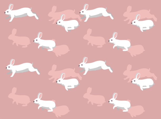 兔子品种佛罗里达白色无缝壁纸背景图片下载