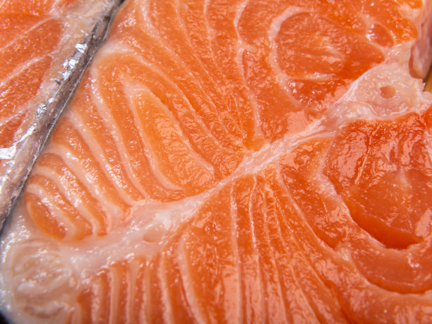 一片红色鲑鱼的微距照片。新鲜的海鲜图片下载