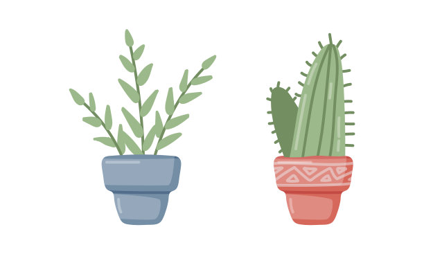 盆栽的家庭植物作为室内装饰图片下载