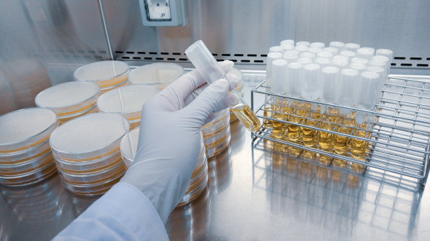 特写镜头:一名细菌学家在实验室里拿着试管检查抗生素。图片下载