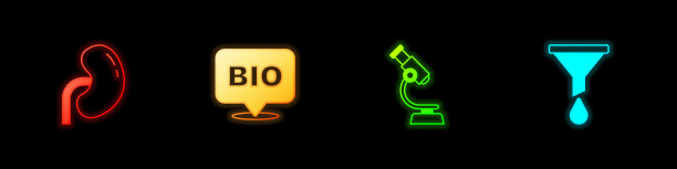 设置人体肾脏、生物健康食品、显微镜和漏斗或过滤器图标。向量图片下载