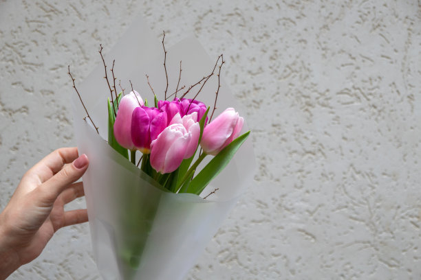 包装不同深浅的粉红色郁金香花束。女人的手抚摸着他。妇女节礼物。花店的图片，明信片。有选择性的重点。图片下载