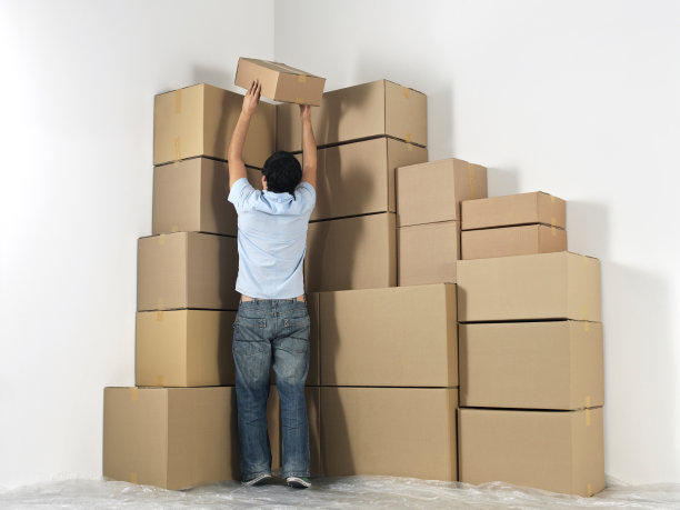 建立纸板箱图片下载