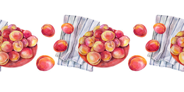 无缝边界水彩杏子或桃与毛巾孤立在白色背景盘子。红色、黄色、橙色手绘水果。夏季甜食。艺术菜单邀请卡咖啡馆图片下载