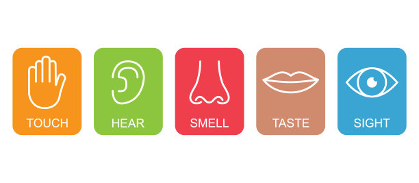 轮廓图标集五种人类感官:视觉、眼睛、嗅觉、鼻子、听觉、耳朵、触觉、手、味觉、嘴巴、舌头图片下载