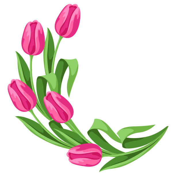 用郁金香花镶边。美丽的装饰性春季植物。图片下载