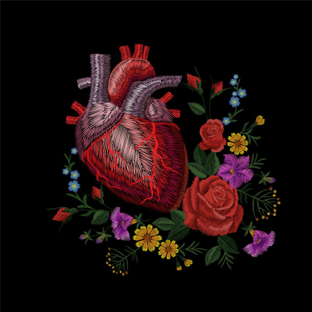 刺绣crewel人体解剖心脏医药器官花玫瑰盛开。红色针绣设计，纹理细节贴片。时尚装饰模板矢量插图图片下载