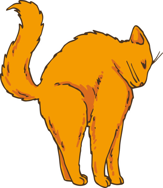 猫拱起背图片下载