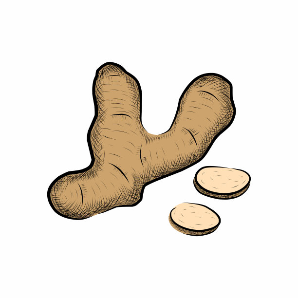 白色背景上的姜片。图片下载