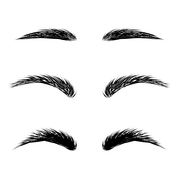 在白色的背景上绘制不同的眉毛形状。图片下载