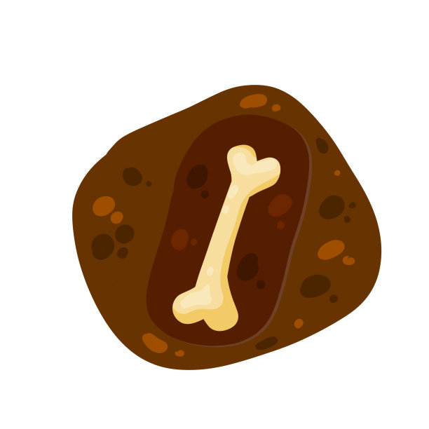 骨在地面。洞的土壤。考古发现。图片下载