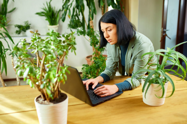 带着盆栽的女花商在花店里用笔记本电脑工作图片下载