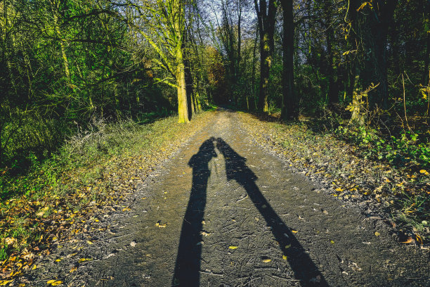 一个在阳光下的吻。图片下载