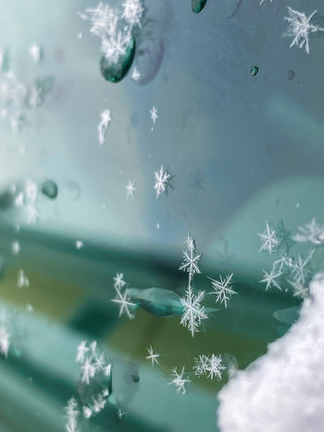 阿拉斯加的雪花图片下载