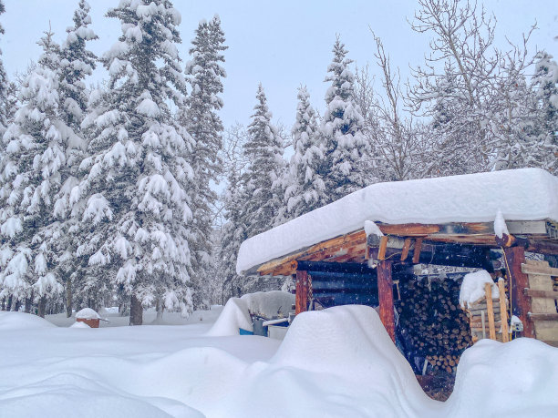 练习乐器在冬天图片下载