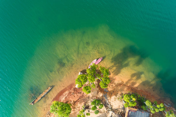 空中无人机照片的运动独木舟与树从上面拍摄的湖或池塘惊人的顶视图自然背景图片下载