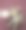 狗和计算器和红色背景图片下载
