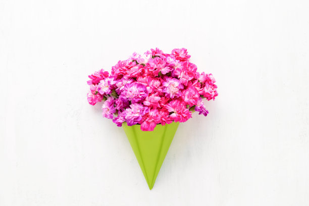 粉红色康乃馨花束在一个绿色的圆锥在白色的背景。平铺，复制空间图片下载