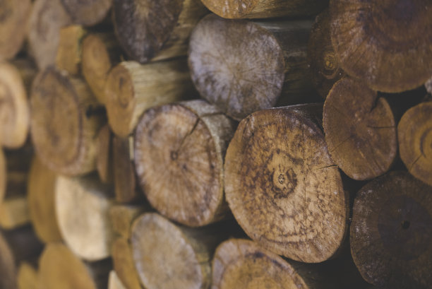 一个模糊的焦点堆堆叠的自然锯木原木纹理为背景图片下载