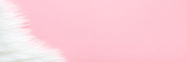 白色皮毛在浅粉红色的桌子背景。柔和的颜色。特写镜头。文本的空白位置。宽横幅。自顶向下的观点。图片下载