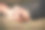 特写细节视图强壮的男人握手和问候图片下载