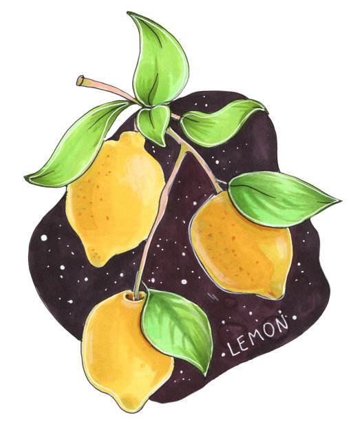 用水彩笔在黑暗的背景上特写植物黄色柠檬与叶子儿童卡通风格图片下载