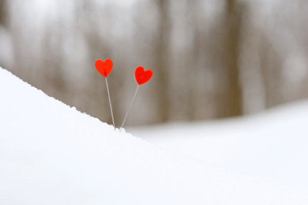 两颗相爱的心在冬天森林的雪地上图片下载