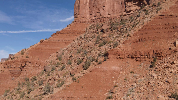 砂岩仙人掌河和沙漠元素在西部和西南部科罗拉多航空宏微照片系列图片下载