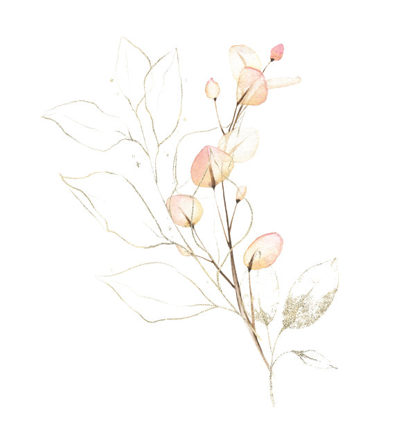草木排列水彩画。酒香浓郁，枝叶呈粉红色，有金色的线条和灰尘元素。图片下载